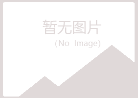 安阳紫山冶炼有限公司